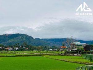 Sau khi được luật hóa, giá đất nông nghiệp sẽ tăng