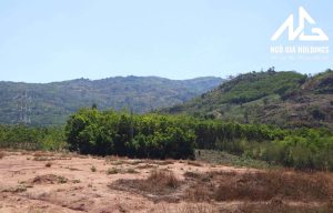 Đất chưa sử dụng
