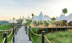 Được cởi trói trên đất nông nghiệp, homestay sẽ quay lại thời đẻ trứng vàng?